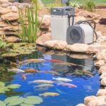 A Guide to Selecting the Right Pond Pump And Filters for Your Water Feature