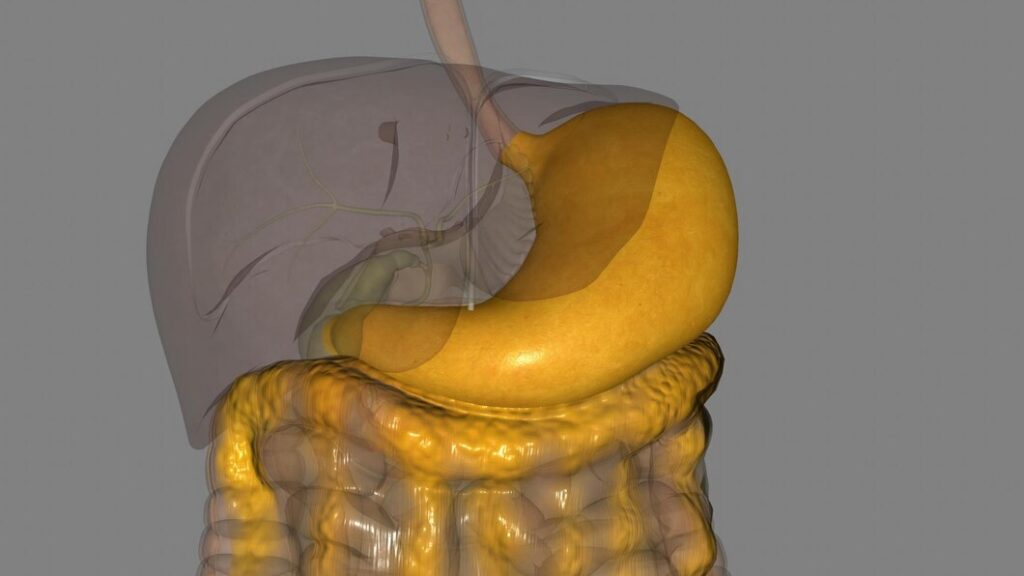 Colon Cancer Screening