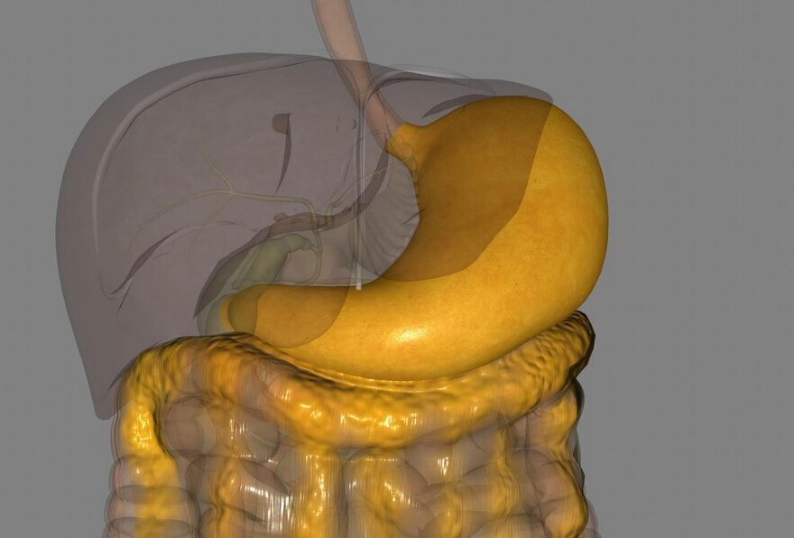 Colon Cancer Screening