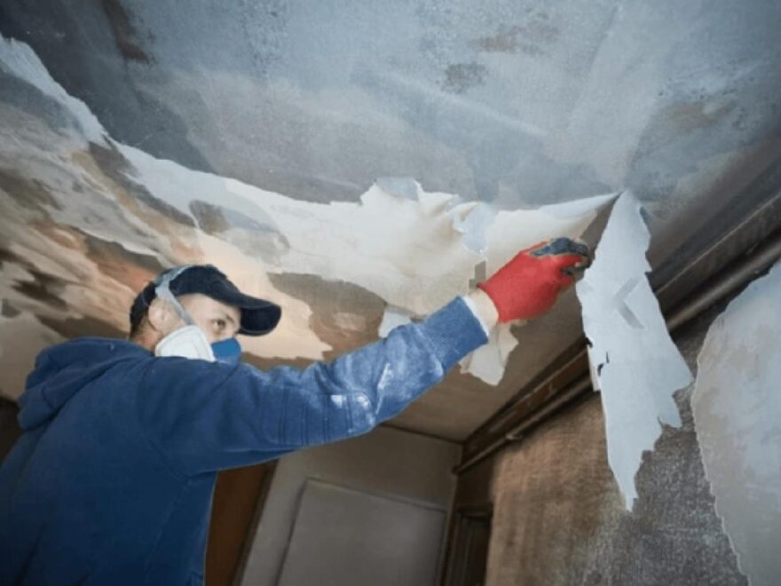 Damage restoration company