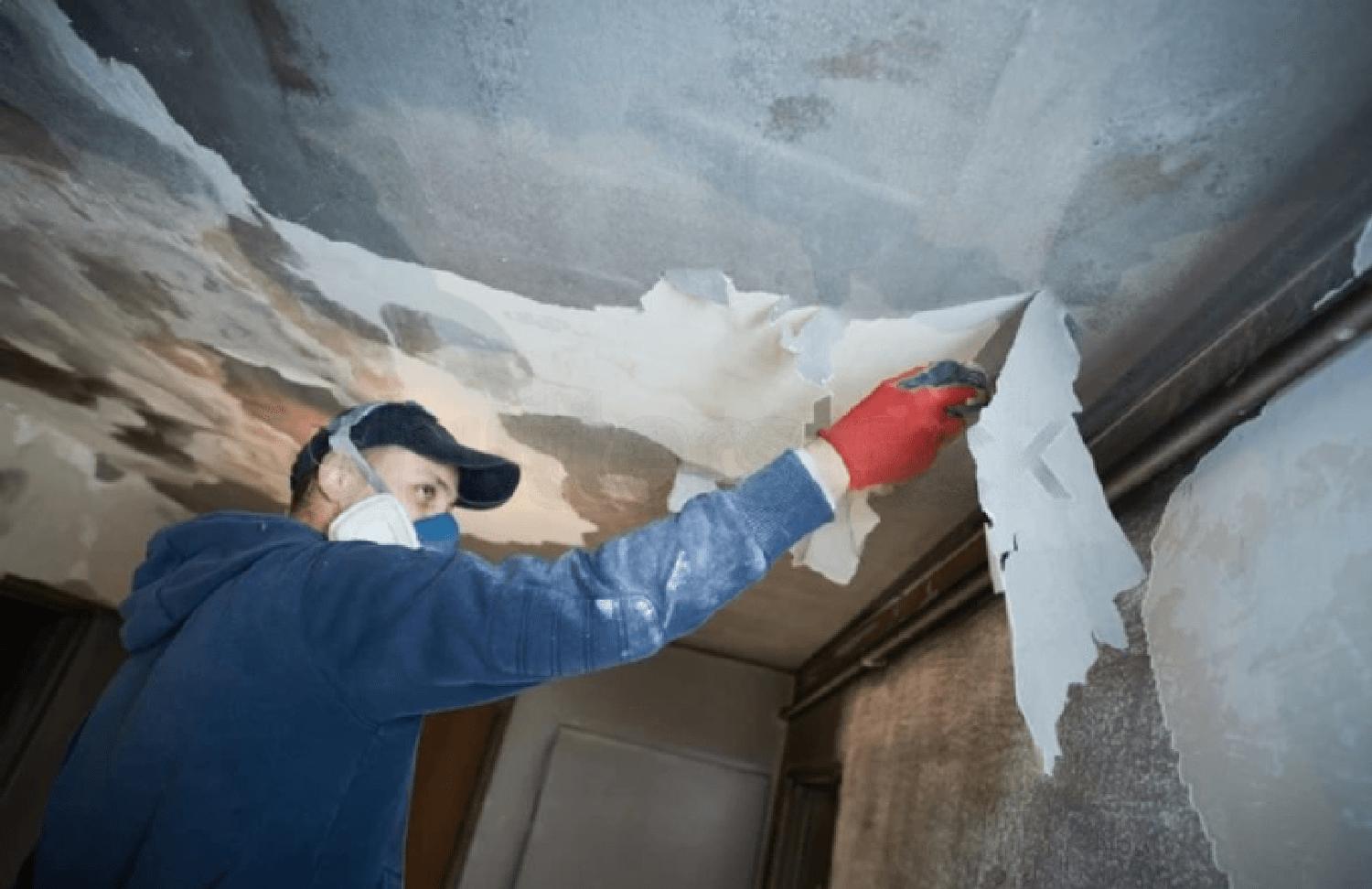 Damage restoration company