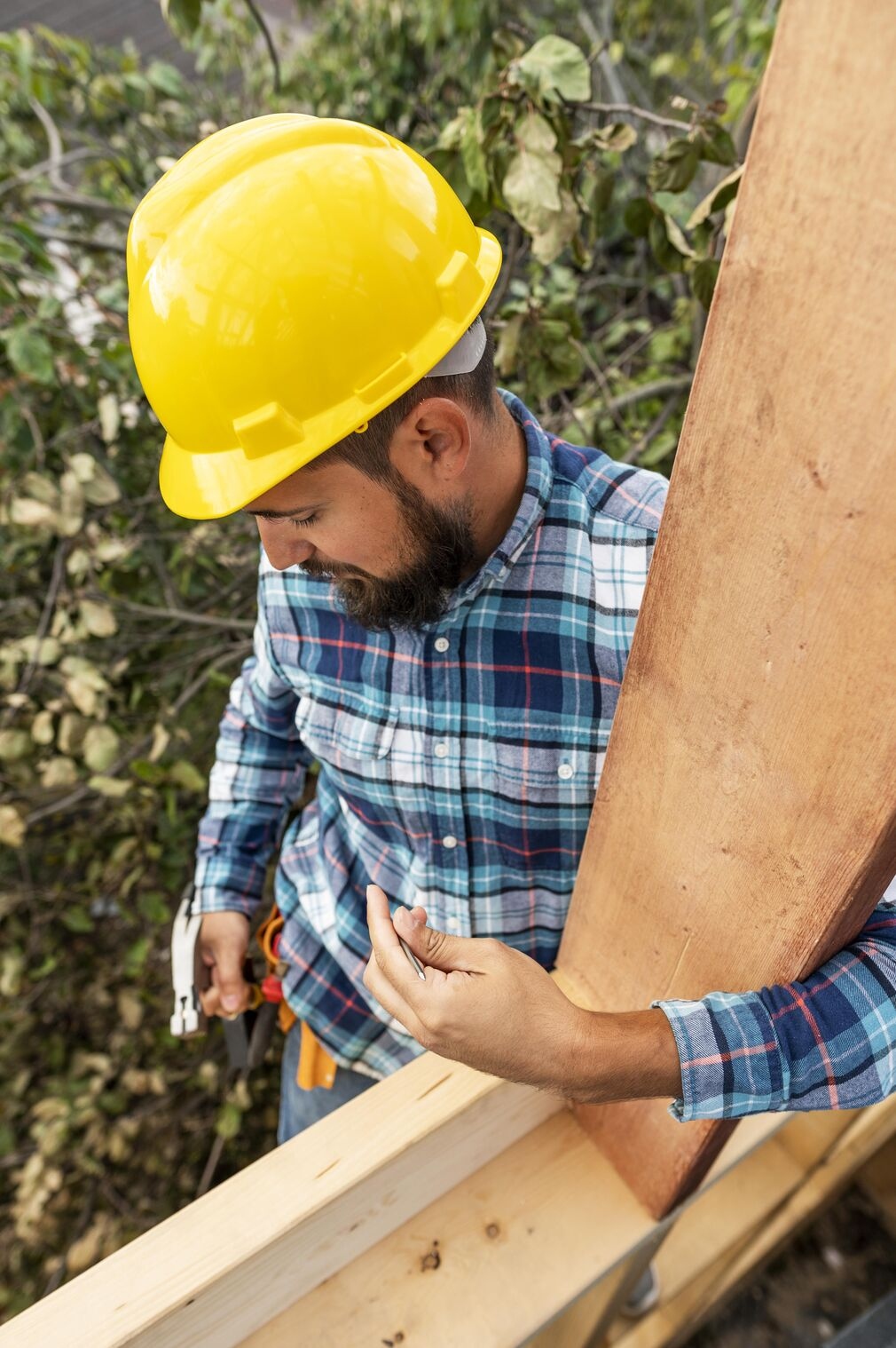 Woodworm Treatment Winchester