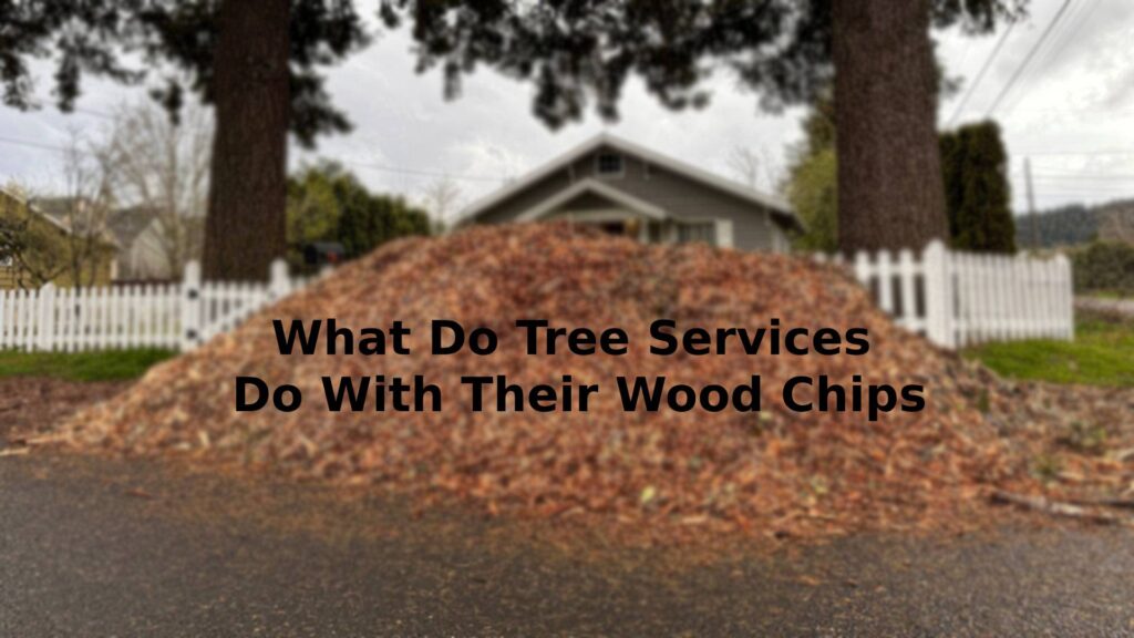 Tree Services