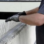 Bird Proofing