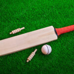 Cricket Bats