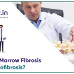 How Does Bone Marrow Fibrosis Drive Myelofibrosis?