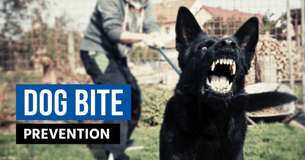 package carrier dog bite prevention