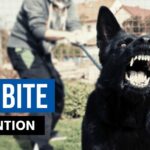 package carrier dog bite prevention