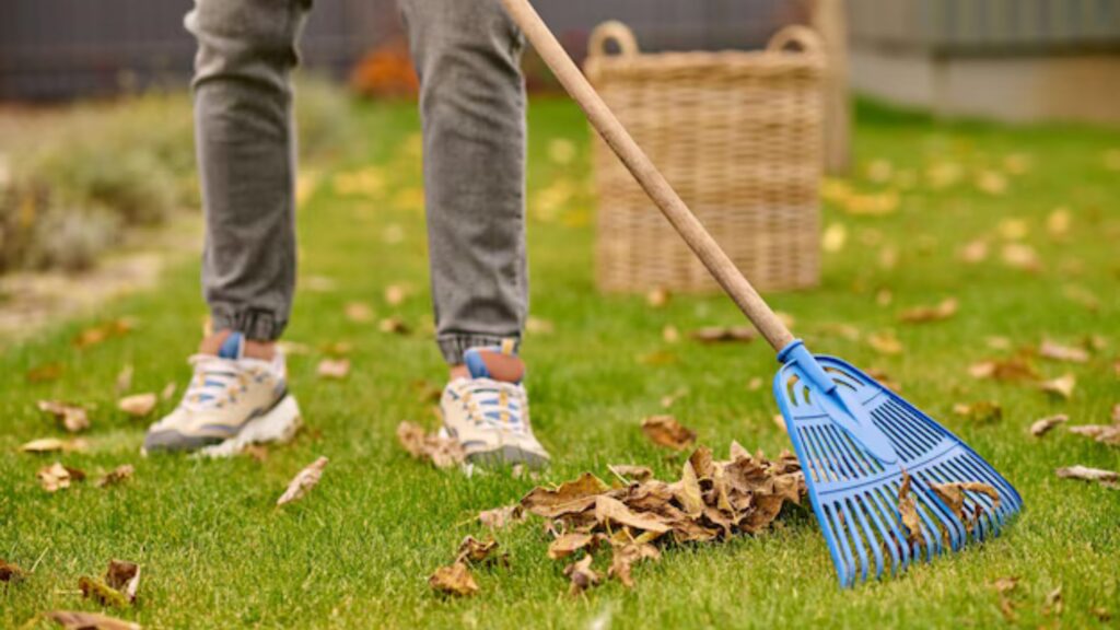 Get Ready for the Seasons: Clean Up Your Lawn!