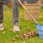 Get Ready for the Seasons: Clean Up Your Lawn!