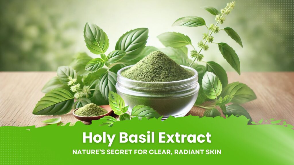 Holy Basil Extract in Skincare: Natural Anti-inflammatory and Antioxidant Benefits