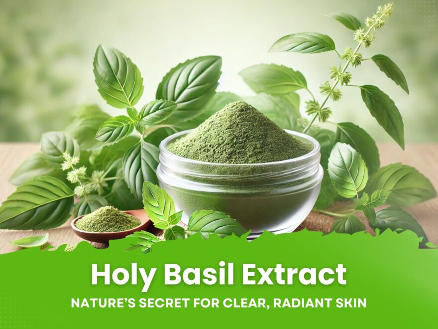 Holy Basil Extract in Skincare: Natural Anti-inflammatory and Antioxidant Benefits