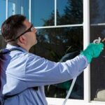 Effective Pest Control and Termite Treatment in Lahore