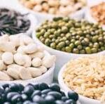 Vegetable Seed Market Size Forecast Report 2024-2032