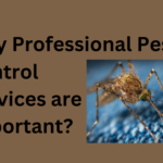 Why Professional Pest Control Services are Important?