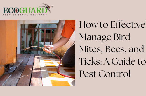 How to Effectively Manage Bird Mites, Bees, and Ticks: A Guide to Pest Control