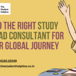 study abroad consultant