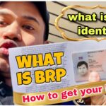 biometrics residence permit