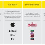 Choosing Between Local and Global Celebrities for Brand Endorsement