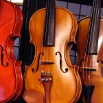 Are Professional Violins Worth the Investment?