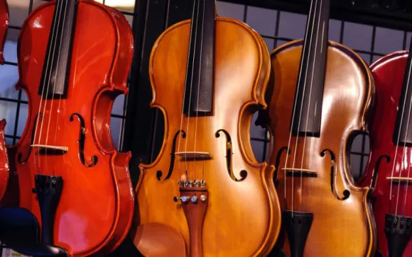 Are Professional Violins Worth the Investment?