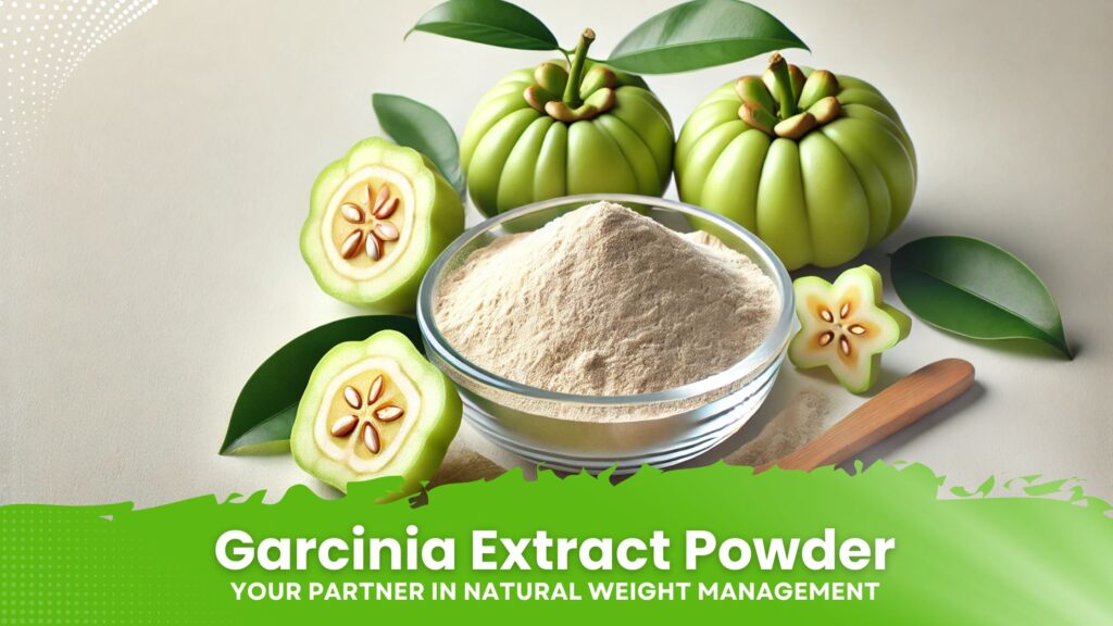 Garcinia Extract Powder: The Top Choice for Natural Weight Management in 2024