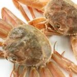 Global Crab Market Analysis And Growth Forecast 2024-2032