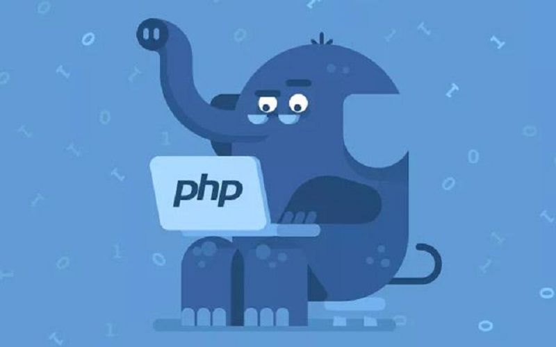 hire PHP programmer