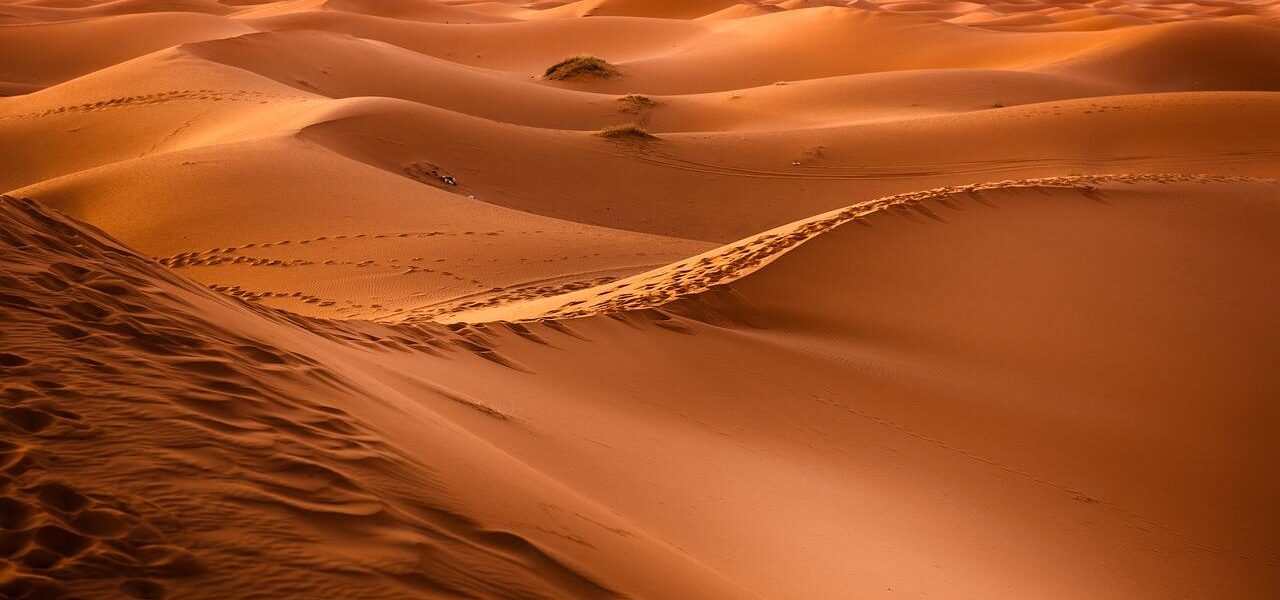 Red Dune Desert Safari