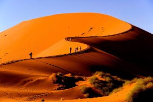 Red Dune Desert Safari