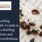 Right Bed Bug Specialist: A Guide to Effective Bed Bug Inspections and Services in Brisbane