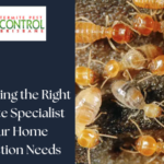 Choosing the Right Termite Specialist for Your Home Protection Needs