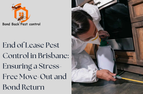 End of Lease Pest Control in Brisbane: Ensuring a Stress-Free Move-Out and Bond Return