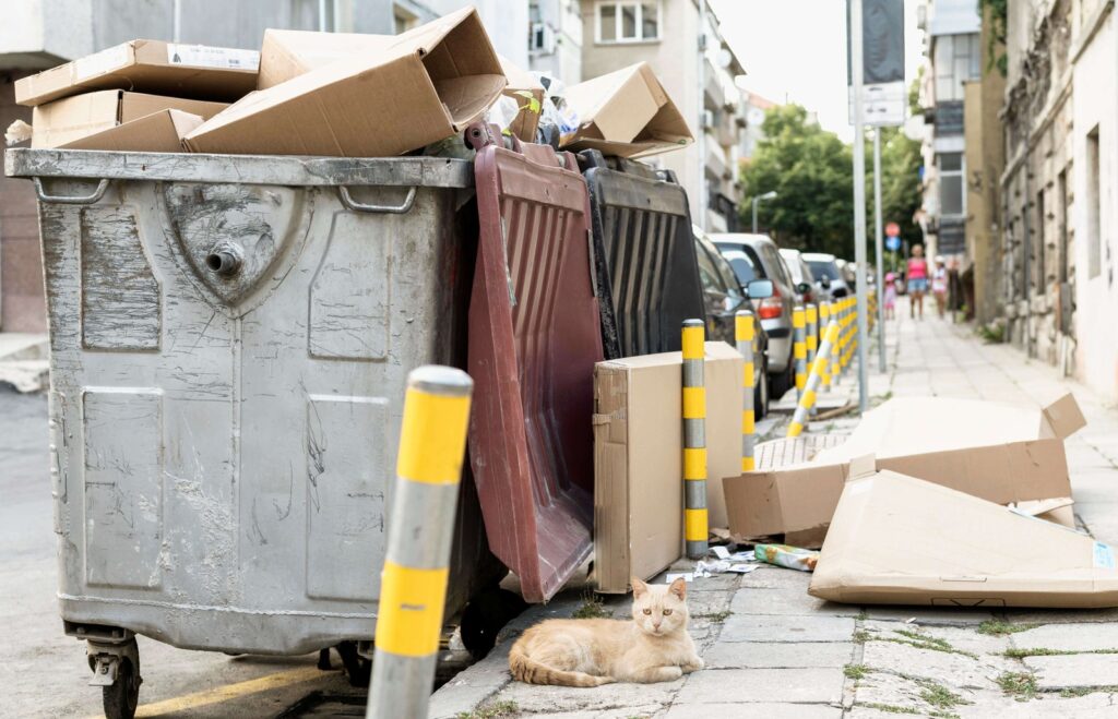 skip hire service