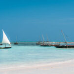 Top 8 Activities in Zanzibar for Adventure and Relaxation