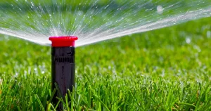 Introduction to Irrigation