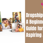 Dropshipping 101: A Beginner's Guide for Aspiring Artists