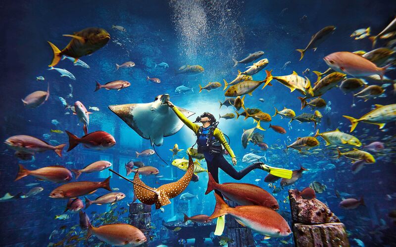 Family Fun at SeaWorld Abu Dhabi