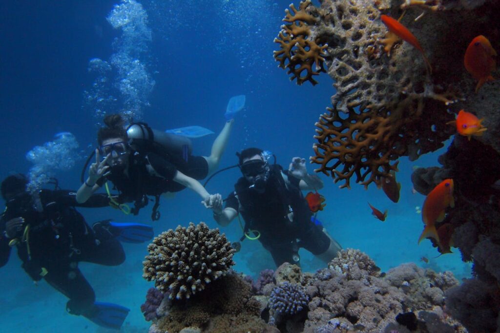 Why Scuba Diving in Dubai is a Unique Way to Celebrate the New Year