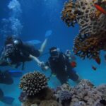 Why Scuba Diving in Dubai is a Unique Way to Celebrate the New Year