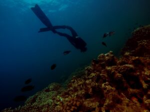 Snorkeling in Dubai: An Alternative Adventure