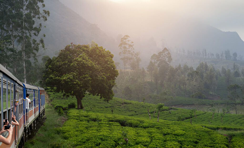 Sri Lanka’s Hidden Gems