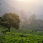 Sri Lanka’s Hidden Gems