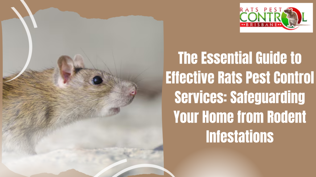 The Essential Guide to Effective Rats Pest Control Services: Safeguarding Your Home from Rodent Infestations