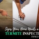 Termite Inspections