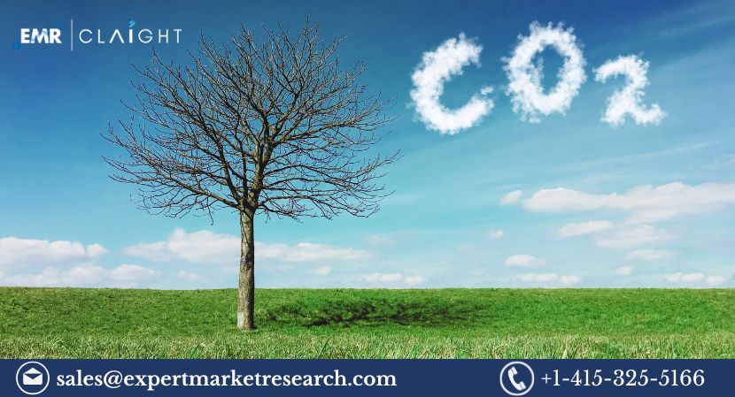 United Kingdom Carbon Dioxide Market