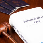 immigration and visa lawyers