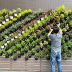 vertical garden