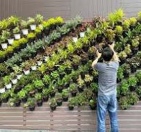 vertical garden