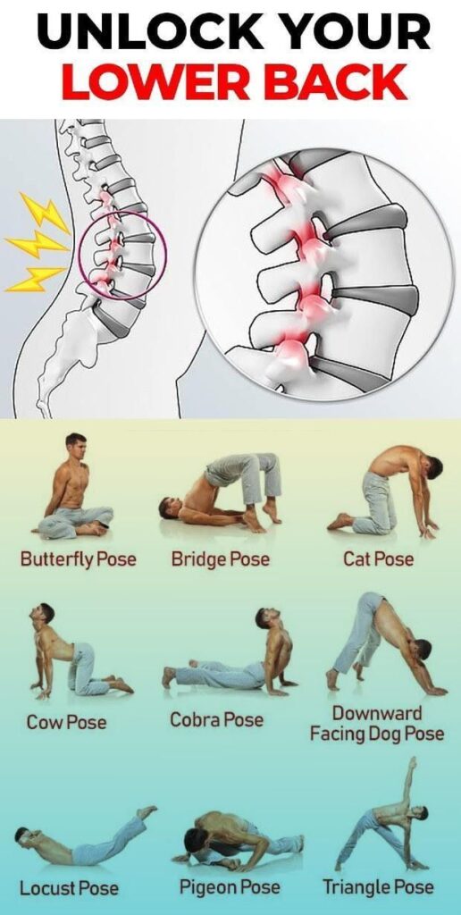 Exercises to Strengthen Your Back and Reduce Pain